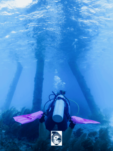 1 tank duik inclusief uitrusting en tanks - Westkust (Bonaire)