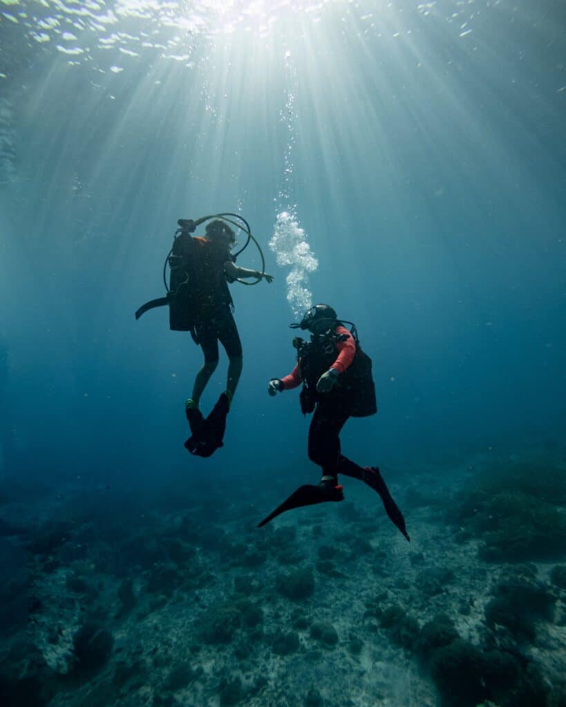One dive photo shoot (Bonaire)