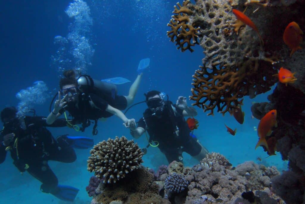 1 tank duik inclusief uitrusting en tanks - Oostkust (Bonaire)