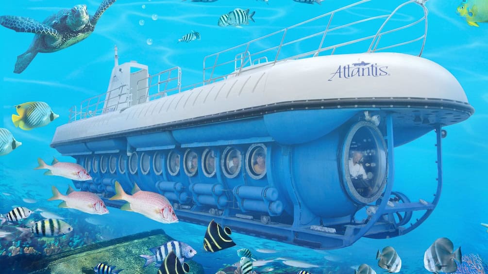 Atlantis Submarine Dive (Aruba)
