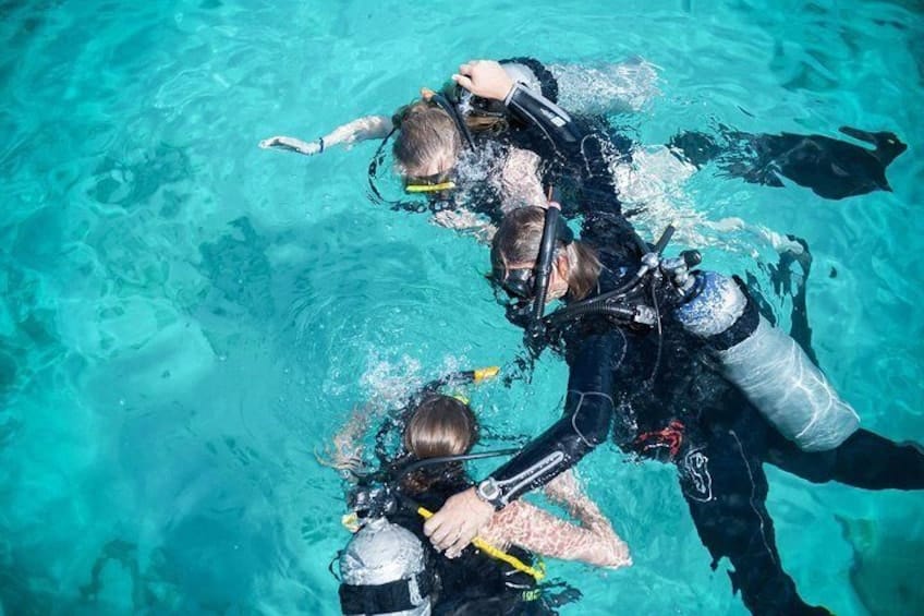 ¡Descubre el buceo en el centro de buceo de 5 estrellas! (Curazao)