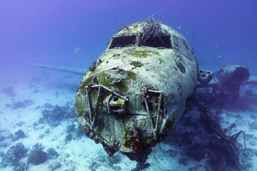 2-Tank Guided Dive for Certified Divers with Own Equipment (Aruba)