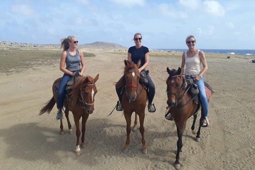 Advanced Horseback Riding Tour (Aruba)