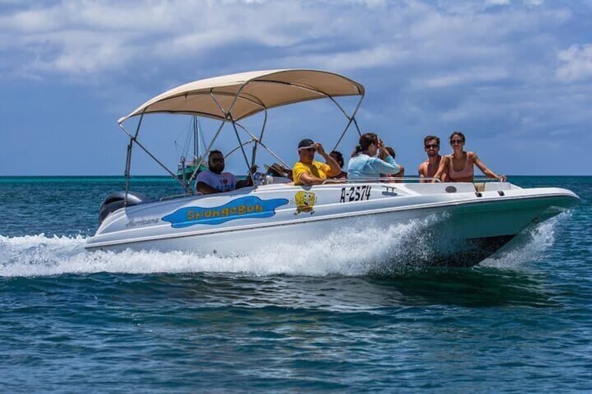 Paseo en barco privado con esnórquel (Aruba)