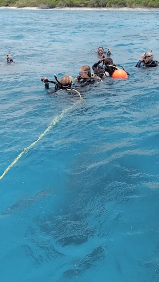 Jane Sea Naufragio Buceo 2 Tanques (Aruba)