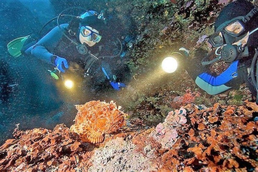1-Tank Night Dive with Rental Equipment for Certified Divers (Aruba)