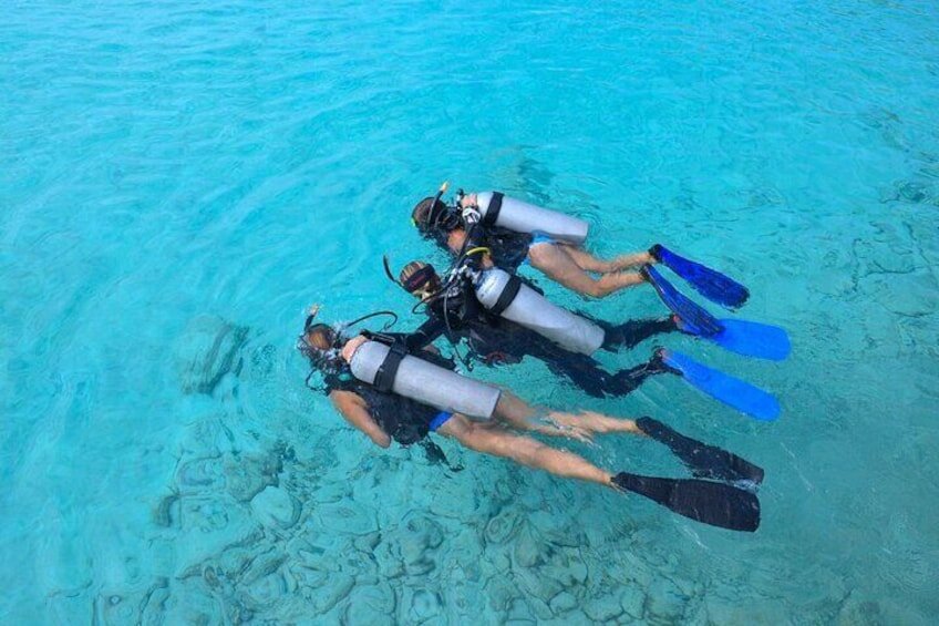 Descubre el buceo en Coral Divers (Curazao)