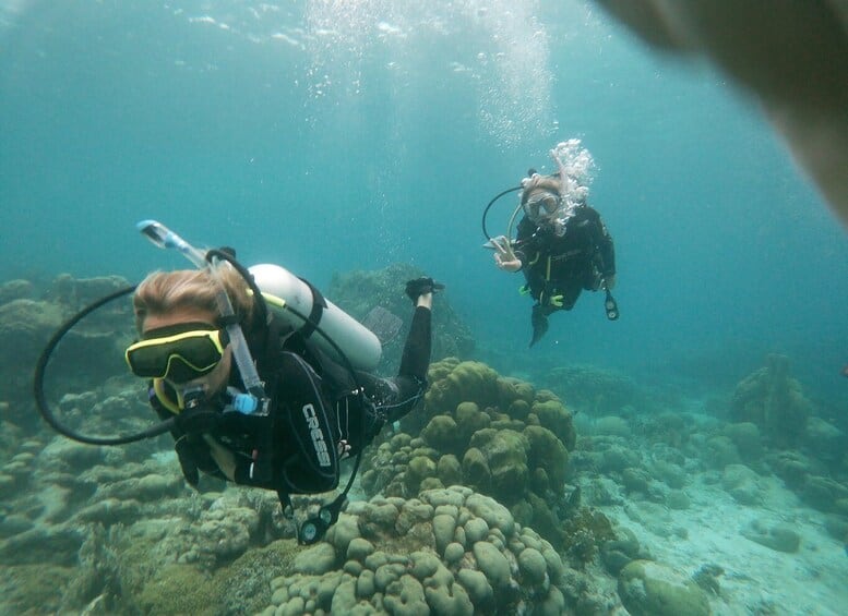 Arrecife Mangel Halto y aventura de buceo Hole in the Wall (Aruba)