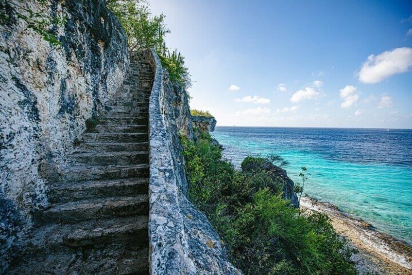 Individuele Eilandtour voor 1 tot 12 Personen in 4 Uur (Bonaire)