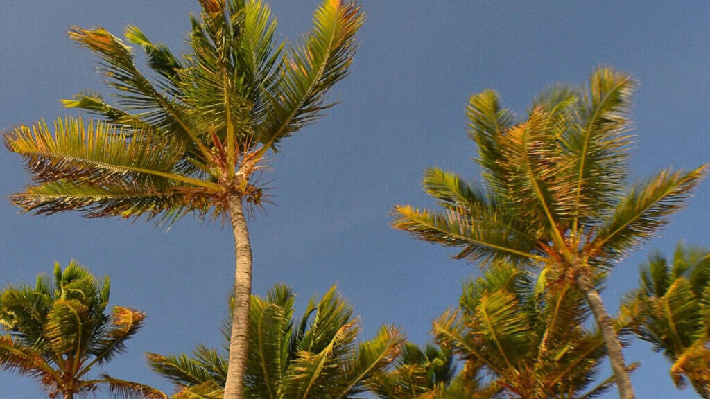 Clima de Aruba