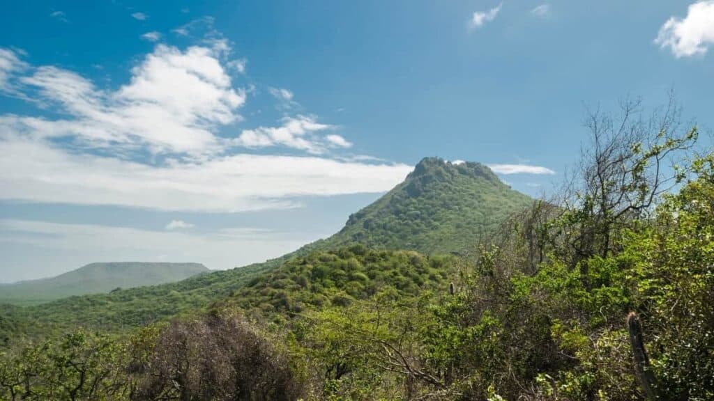 Discover the nature of Curacao