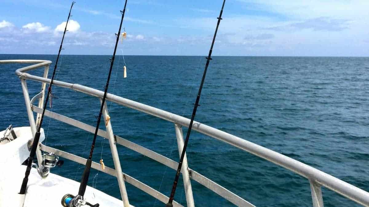 Vissen op Curacao