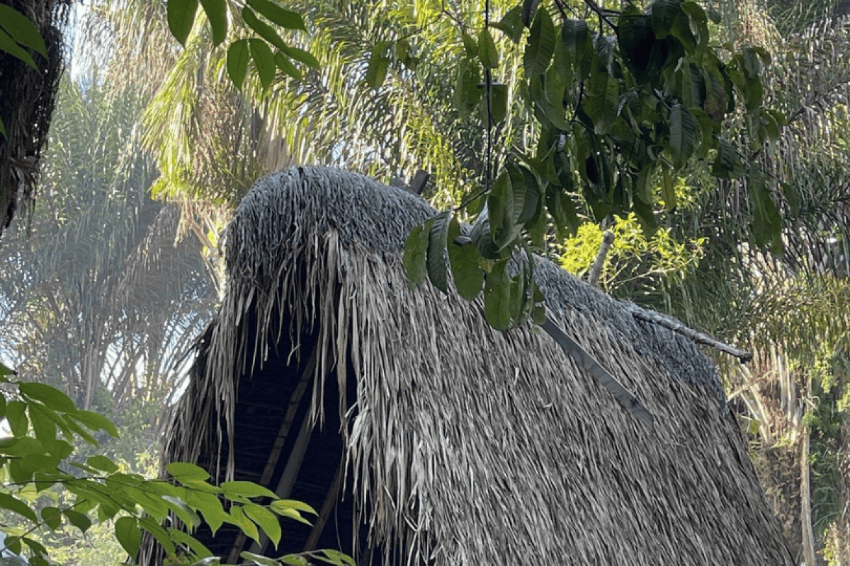 Vive la excursión de un día Plantage Bakkie Commewijne: una cabaña rústica con techo y lados de hojas de palma, elevada sobre pilotes de madera entre una exuberante vegetación tropical, rodeada de árboles y luz tenue del sol.