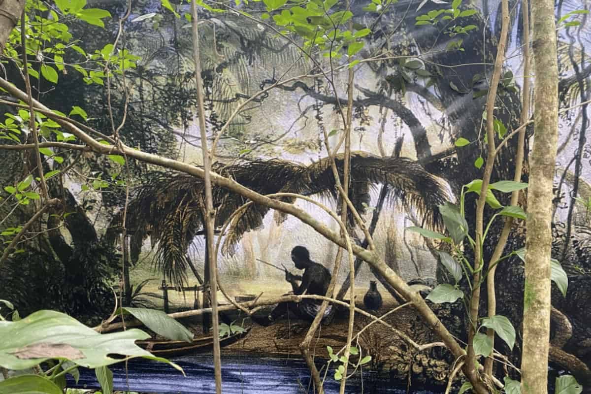 Boni Trail Suriname (2)