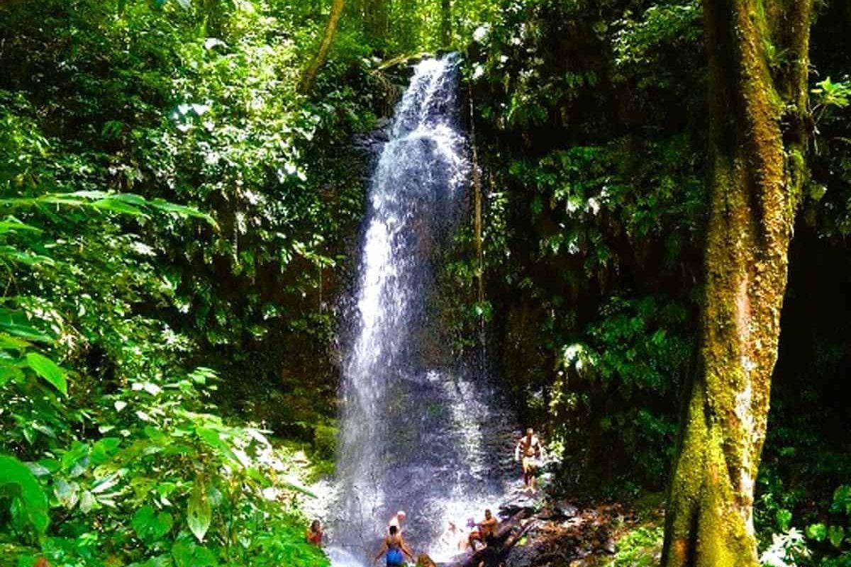 Experimenta la belleza de la excursión de un día al Parque Natural Brownsberg (Surinam): una cascada alta y estrecha cae sobre rocas verdes en un bosque denso mientras los visitantes se relajan al pie de la naturaleza, mientras la luz del sol se cuela entre los árboles de arriba.