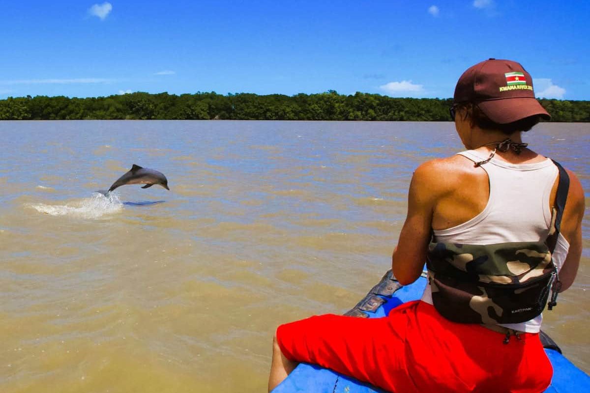 Una persona vestida de rojo con chaleco de camuflaje se sienta en un barco azul durante el "Dolphin Watching (Suriname)" y observa a un delfín saltar fuera del agua marrón, rodeado de árboles verdes y bajo un cielo azul despejado.