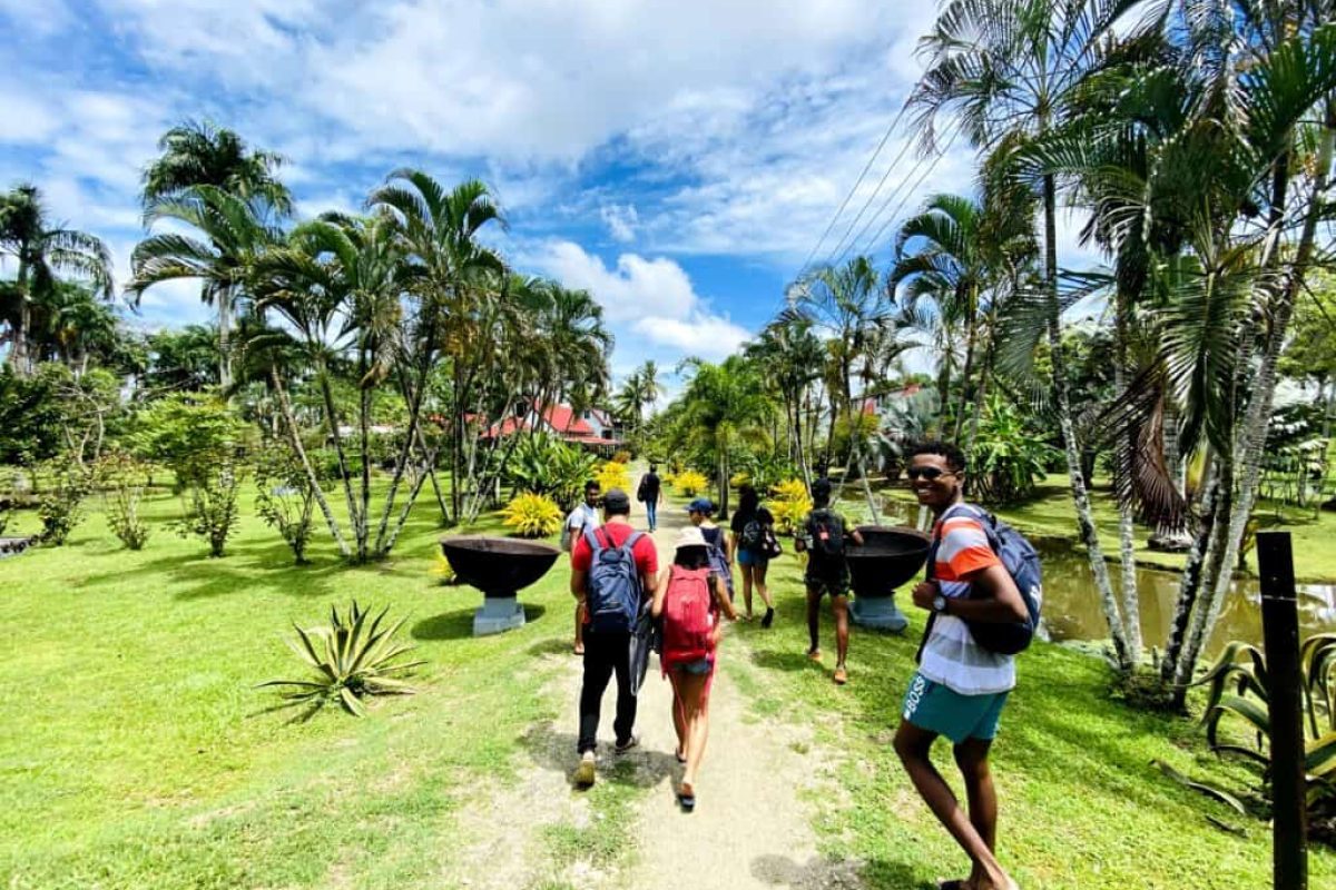 Een groep mensen met rugzakken loopt over een weelderig, met palmbomen omzoomd pad onder een felblauwe hemel tijdens de Dagtocht Frederiksdorp in Suriname.
