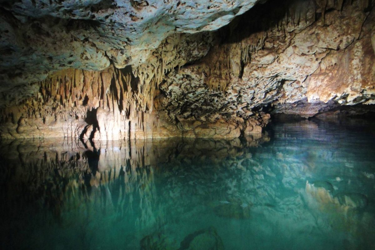 Caves (snorkeling) tour Bonaire 5