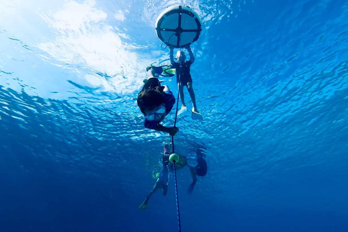 Tres practicantes de snorkel se aferran a una plataforma flotante circular en la superficie del agua durante el Freediving Adventure Dive Salt Pier (Bonaire), vista desde abajo en aguas azules y cristalinas con la luz del sol descendiendo.