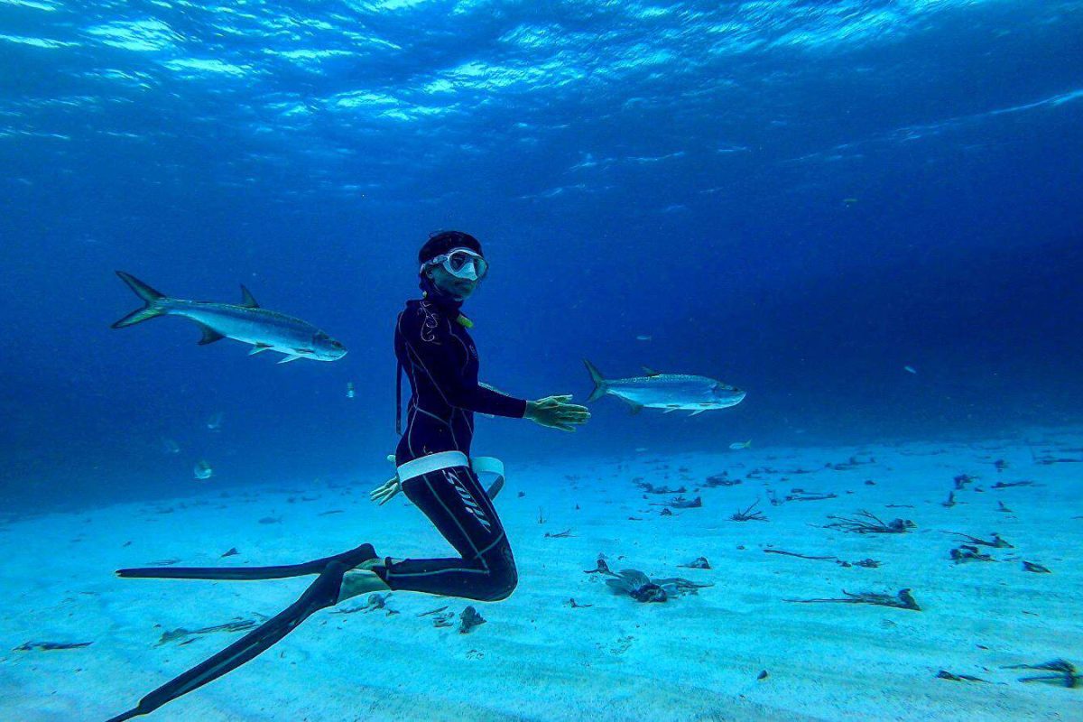 Descubre el buceo libre (Bonaire): nada bajo el agua en aguas azules y claras sobre un fondo arenoso del océano, rodeado de peces grandes, con un traje de neopreno y aletas.
