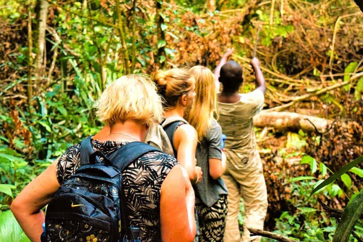 Vier personen lopen achter elkaar langs een weelderig junglepad, onder leiding van een gids, tijdens het 3 Dagen Isadou River Resort (Suriname) avontuur.