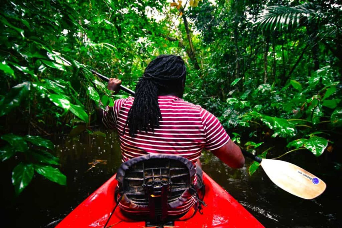 Een persoon peddelt in een kajak tijdens de Peperpot Kajak Tour (Suriname), waarbij hij door weelderig groene junglewaterwegen vaart omringd door dicht gebladerte.