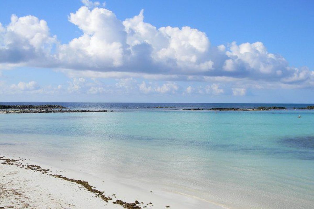 Experience the beauty of Aruba on the Mangel Halto & Baby Beach Off-Road Safari, which features clear blue waters, sandy beaches, clear skies with fluffy clouds, and picturesque rocks visible in shallow water on the horizon.