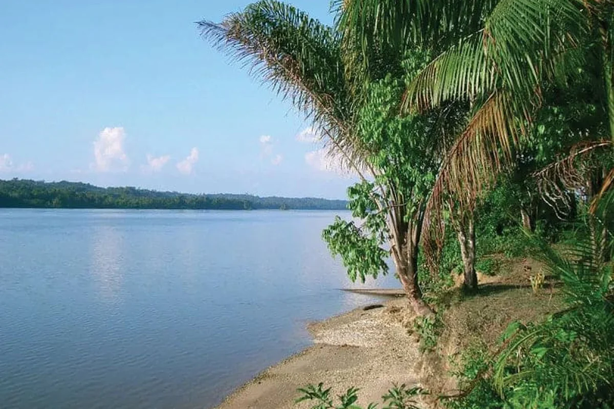 Disfruta de la excursión de un día Plantation Bakkie Commewijne: desliza por un río tranquilo con árboles verdes y hojas de palma, playas de arena y un cielo azul despejado.