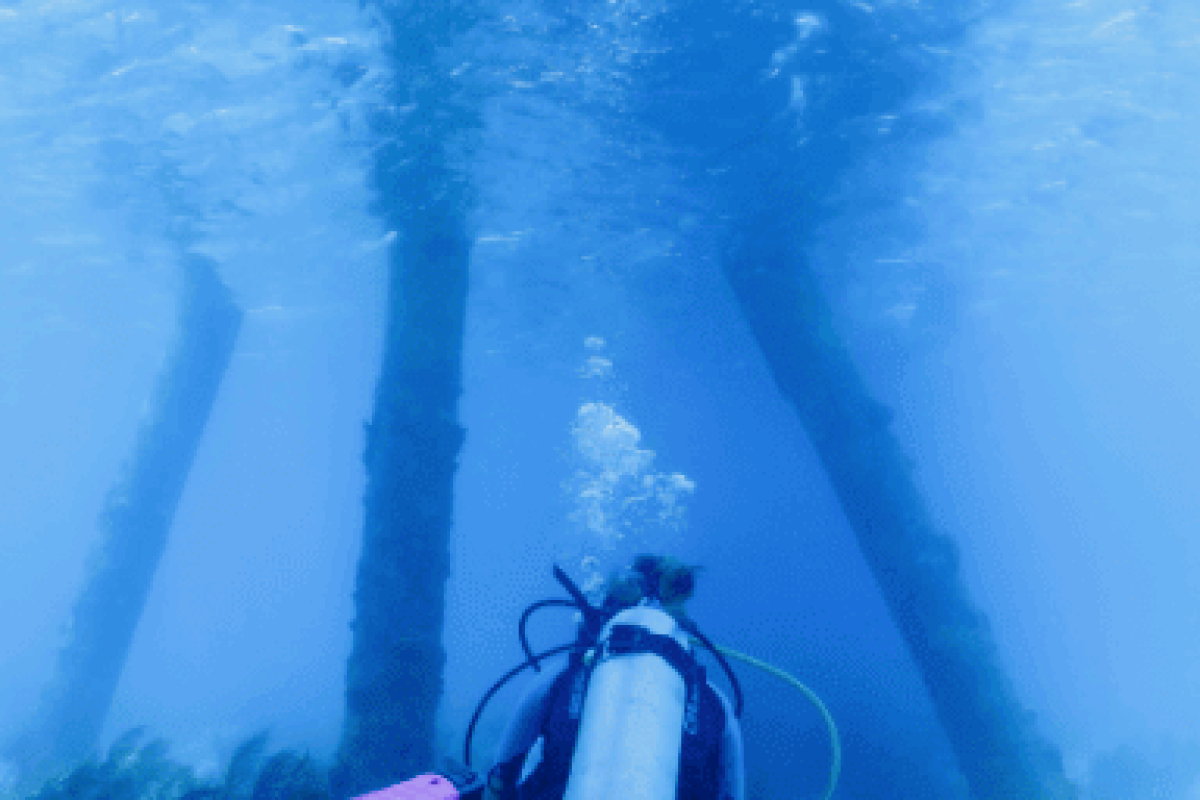Un buceador equipado con 1 tanque de buceo incluyendo equipo y tanques - South Coast (Bonaire) nada bajo el agua hasta grandes pilares cubiertos de percebes mientras la luz del sol se filtra a través de la superficie superior.