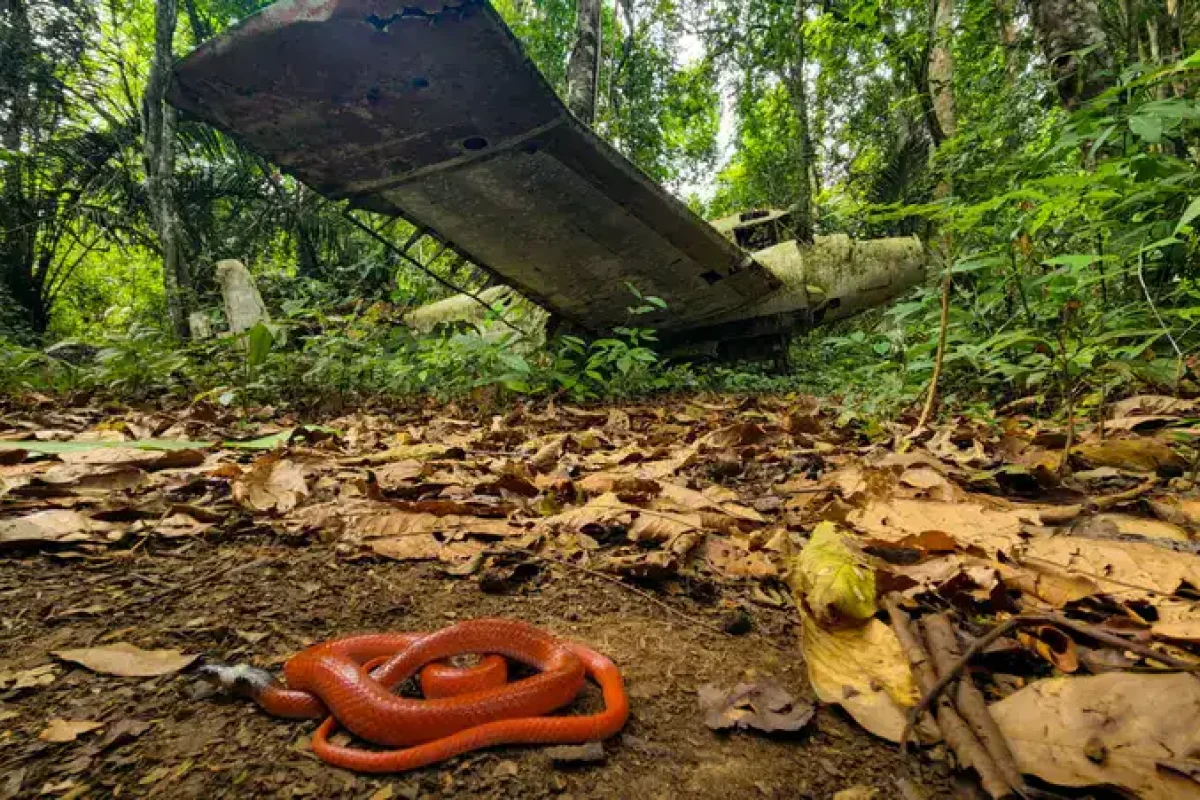 Surinam-Kabalebo-2