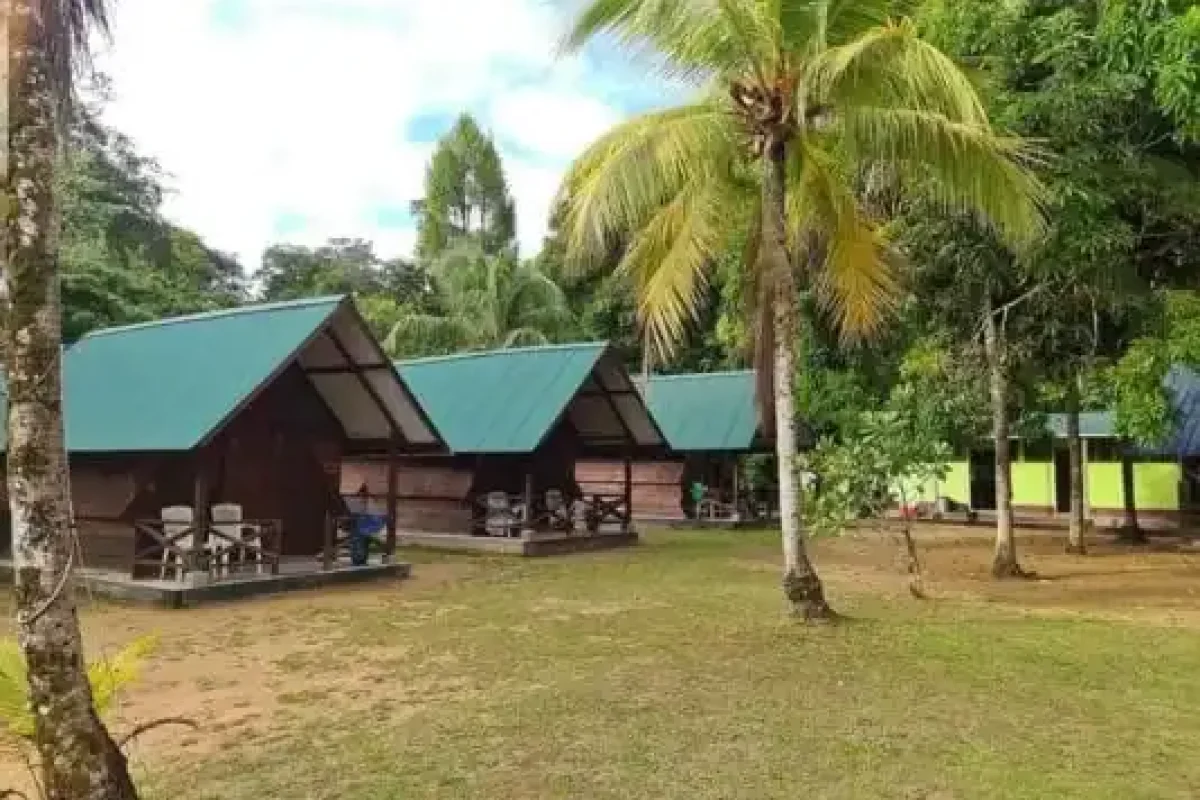 Expedición en Kayak en el río Surinam (Surinam)