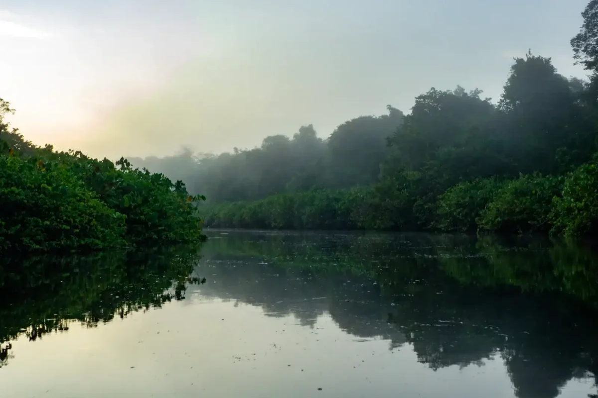 Surinam-kayak-maratakka-3