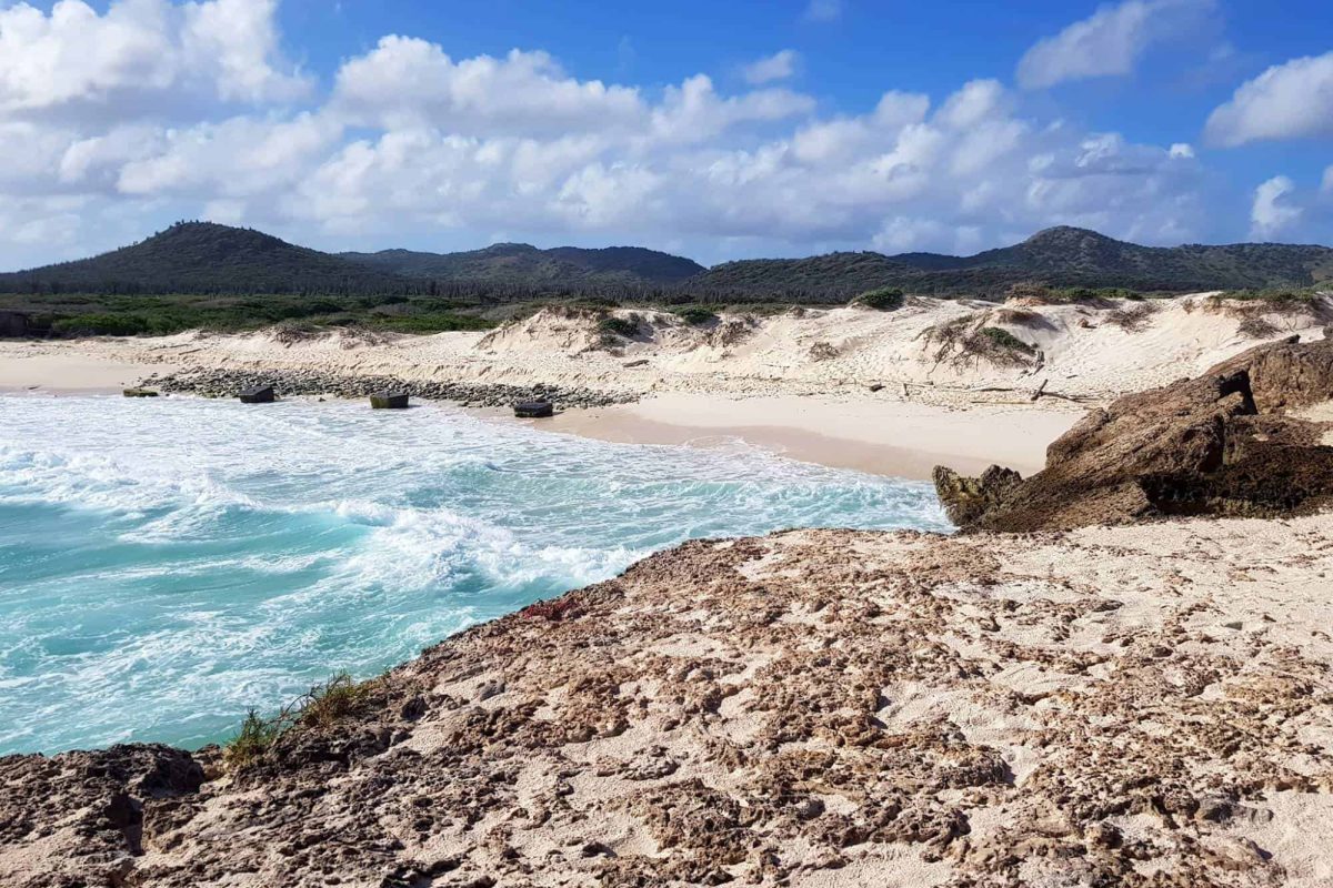 Washington-Slagbaai national park tour Bonaire 1