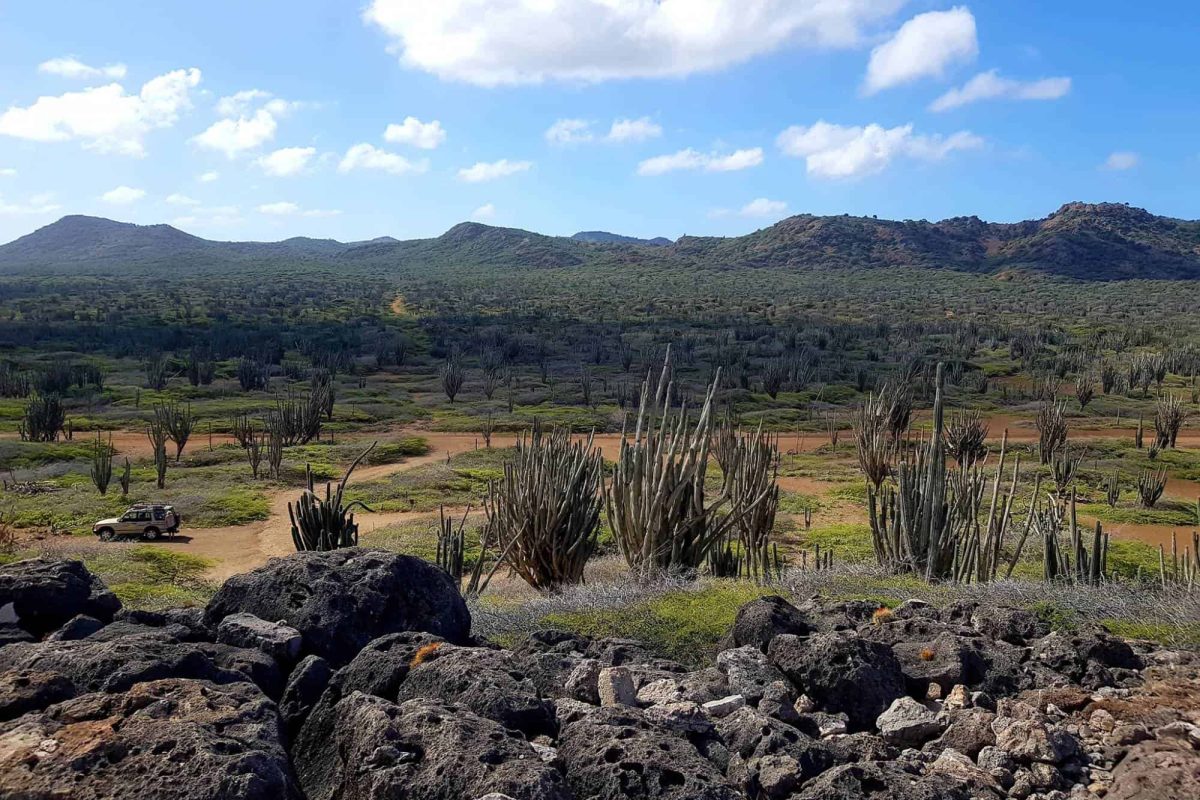 Washington-Slagbaai national park tour Bonaire 3