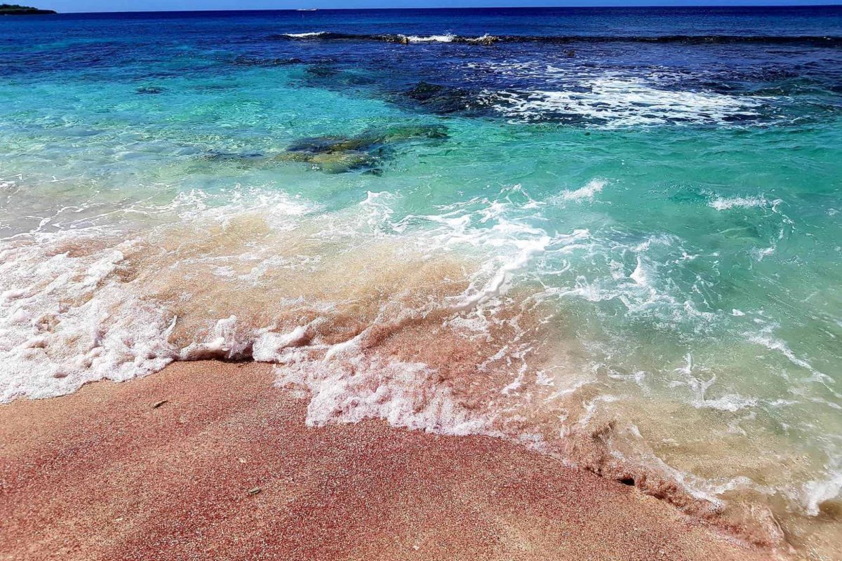 Washington-Slagbaai national park tour Bonaire 4