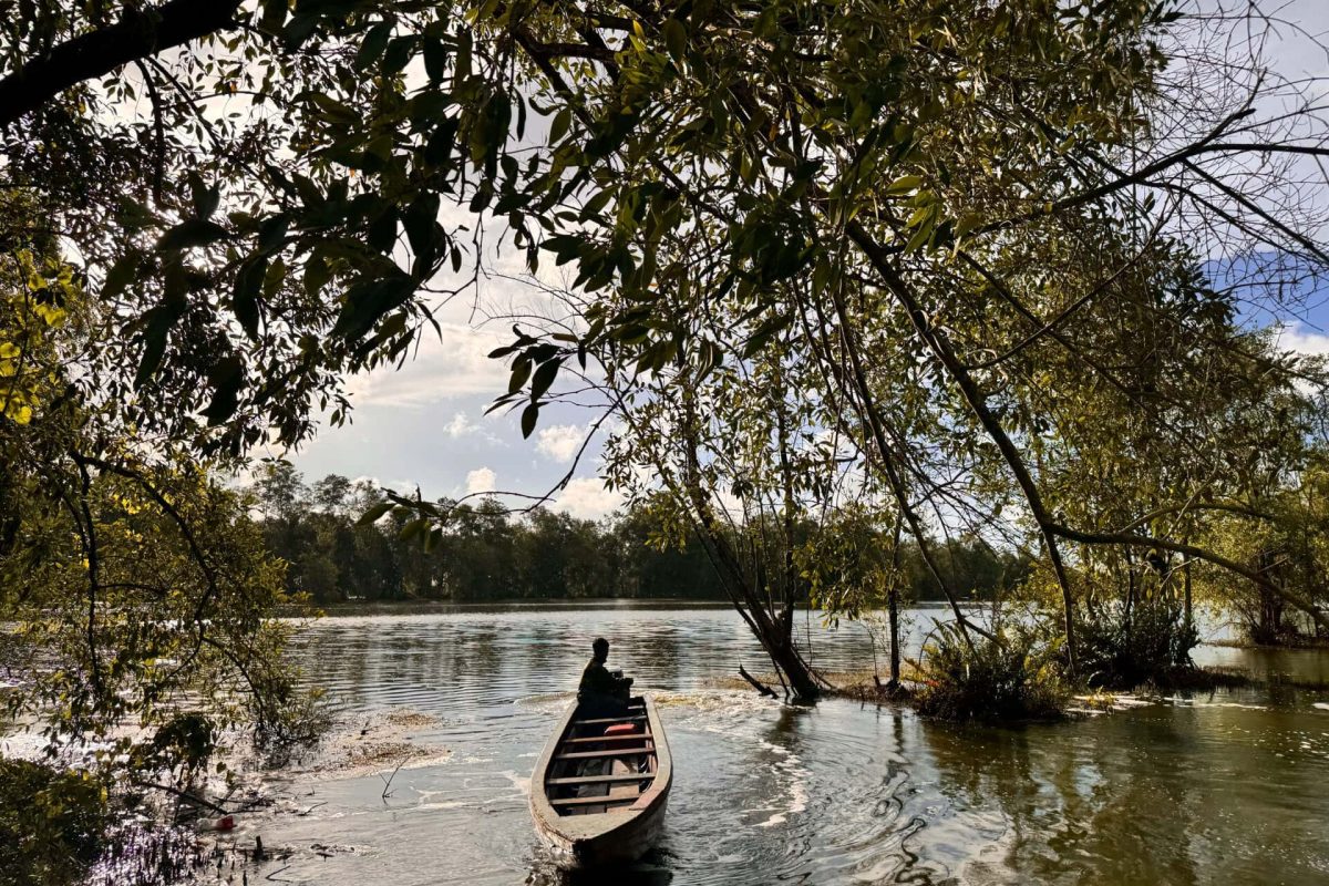 Wetland Swamptour – Ruta corta 1 del Valle del Lotus
