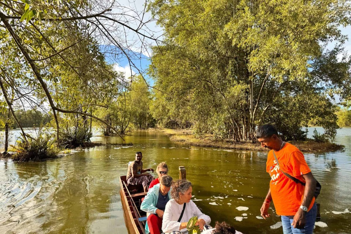 Ruta corta por el Pantano de Humedales – Lotus Valley