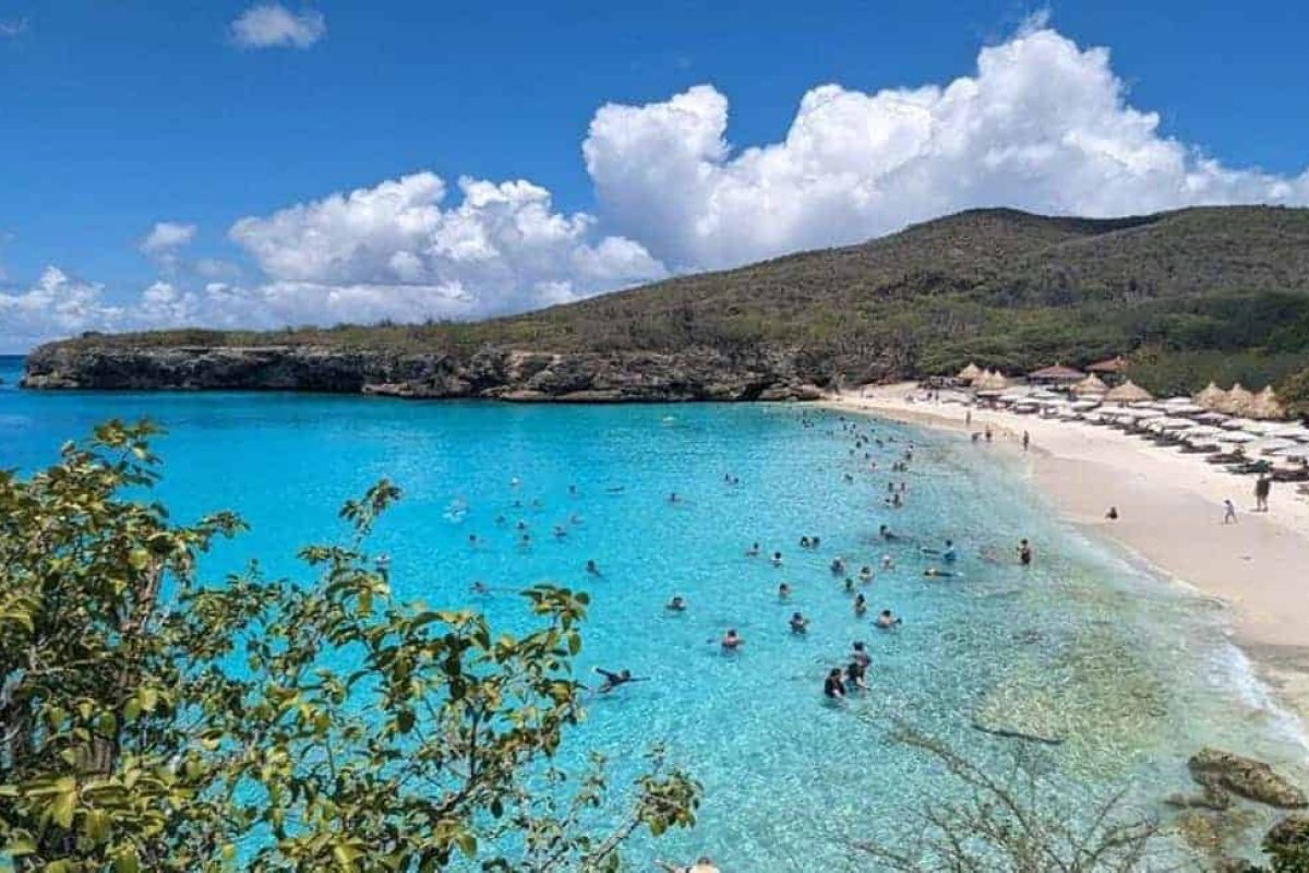 Vive el tour Willemstad: Cueva Hato, Flamencos y la Playa de las Tortugas en Curazao: relájate en playas de arena con aguas turquesas claras, nada o descansa bajo paraguas, con colinas frondosas y un cielo azul de fondo.