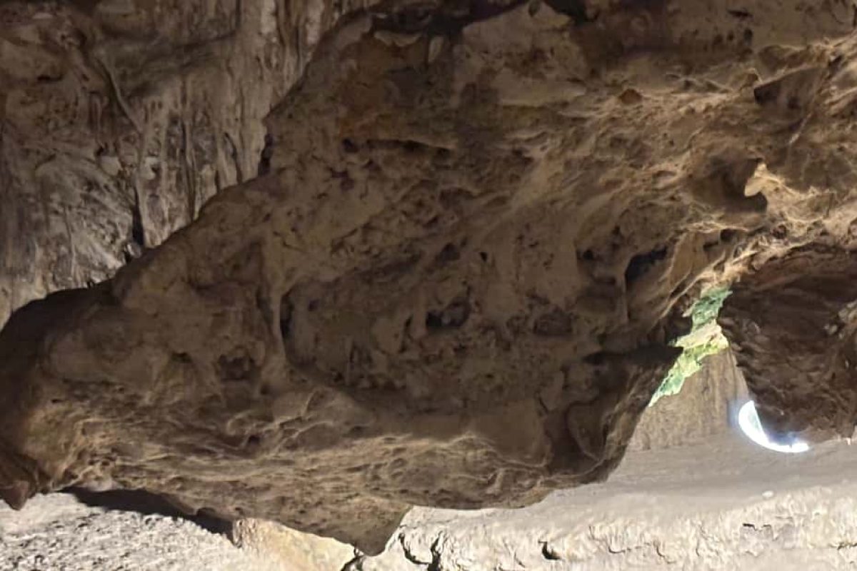 En el tour Willemstad: Cueva Hato, flamencos y playa de la tortuga en Curazao, la luz del sol entra a través de una abertura de cueva, iluminando las formaciones rocosas escarpadas que bloquean parcialmente la entrada y proyectan sombras dramáticas en su interior.