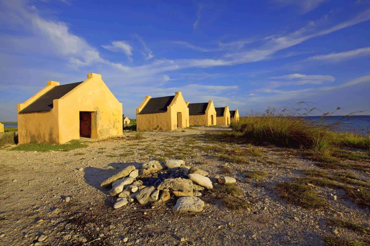 Zuidkant tour Bonaire 2