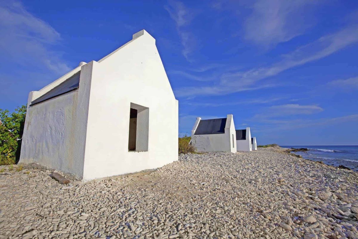 Zuidkant tour Bonaire