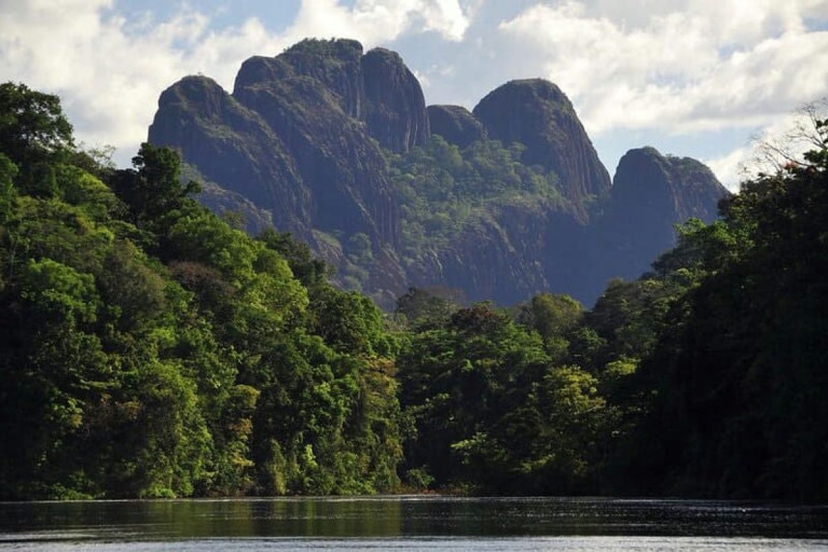Vive la expedición Gran Río Sintiadam de 6 días en Surinam, donde frondosos picos boscosos se alzan sobre densos doseles y ríos serenos reflejan la impresionante belleza natural que lo rodea.