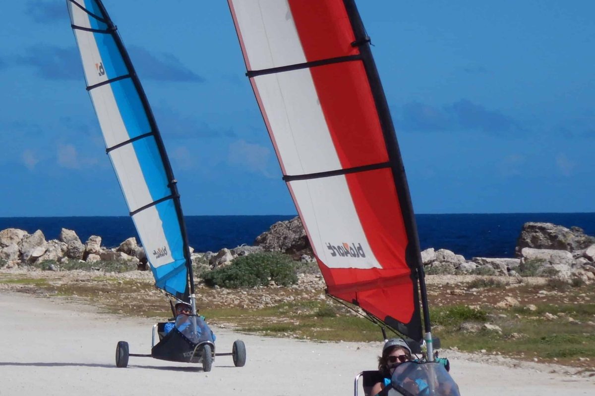 Tot 12 personen genieten van Landzeilen 1 uur privé baan op Bonaire, rijdend op landzeilen met kleurrijke zeilen over een zanderig kustpad onder een helderblauwe hemel.