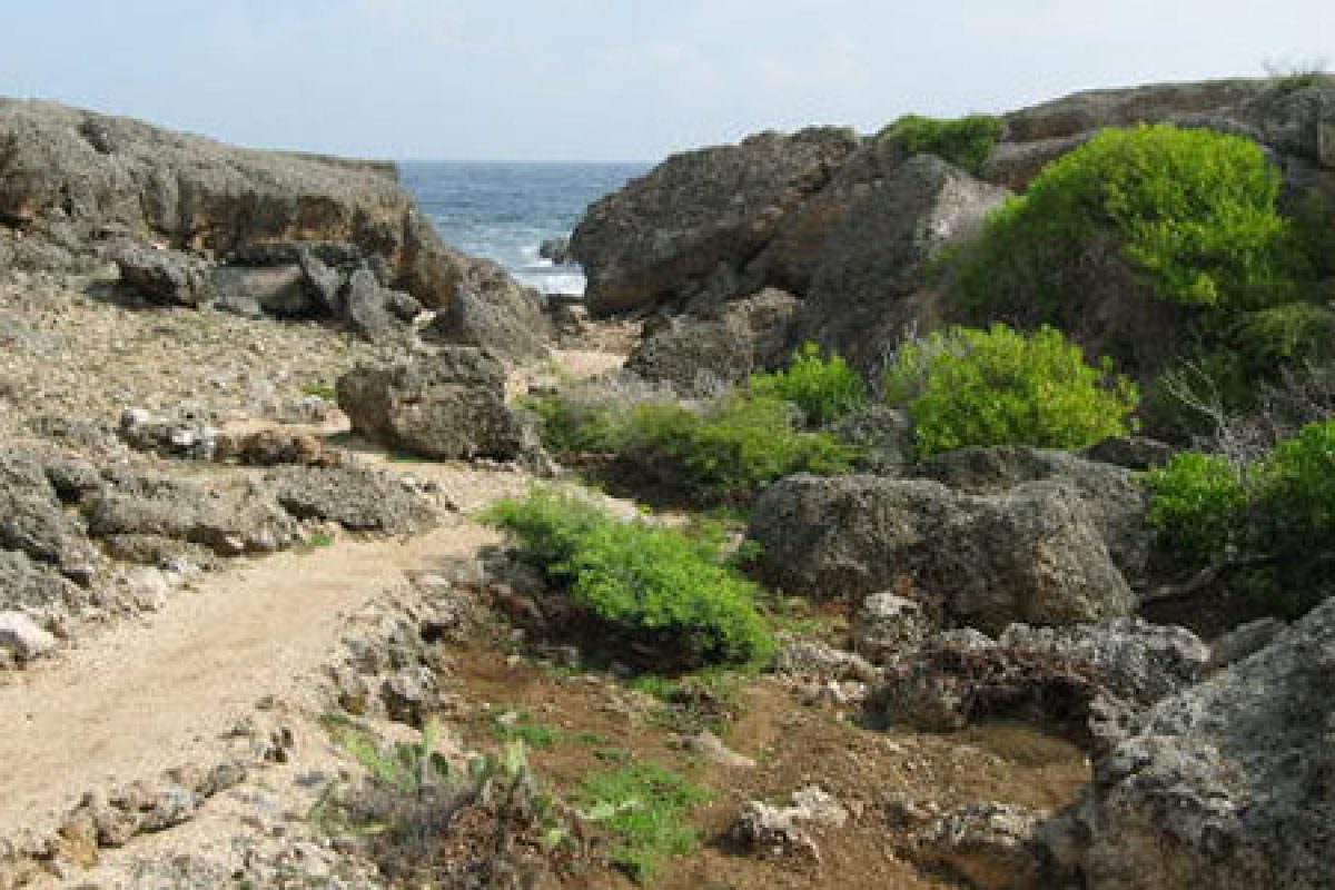 Ervaar het Snorkel en strandavontuur (Curaçao): een onverhard pad kronkelt tussen rotsachtige keien en groene struiken en leidt naar de oceaan onder een gedeeltelijk bewolkte hemel - perfect voor je volgende verkenningstocht aan zee.