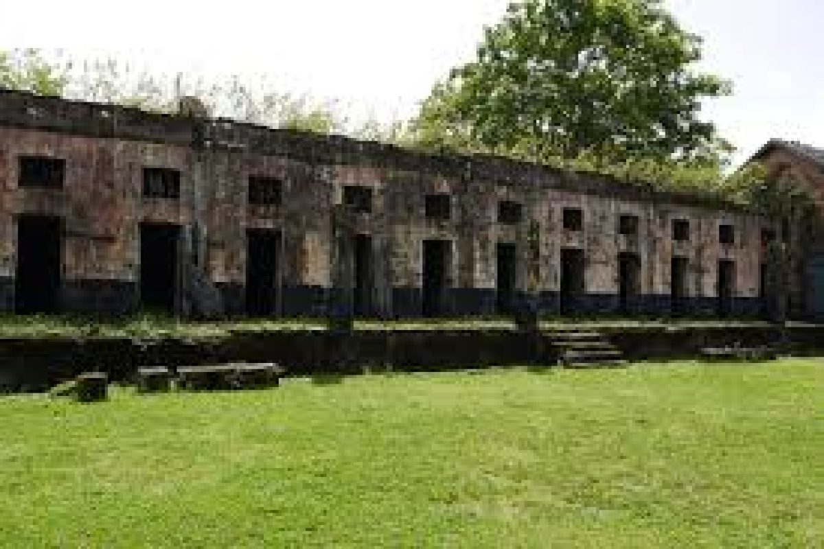 Experience the French Guiana Day Trip (Suriname): explore an old, weathered stone building with many doorways and small windows, amidst green grass and trees under a clear sky.