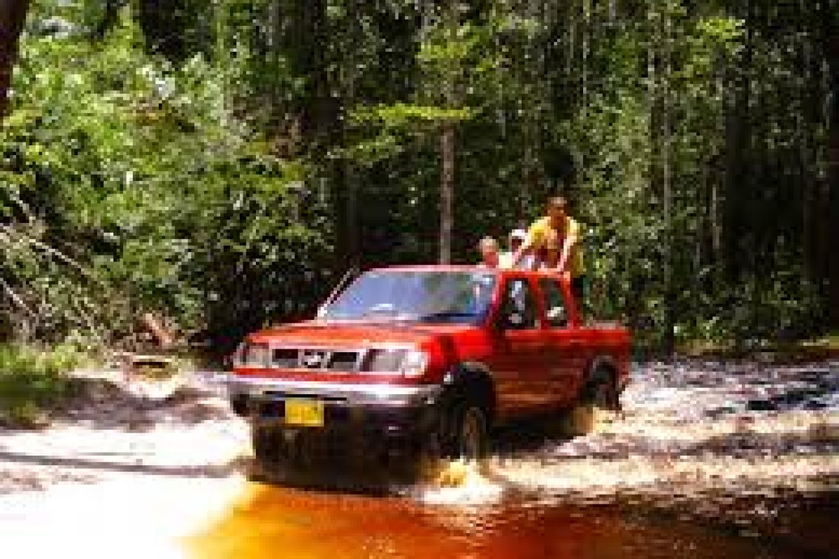 Un Jeep conduce por un arroyo poco profundo y embarrado rodeado de frondosos bosques en un día soleado durante el "Jeep Safari por el interior (Surinam)". Los pasajeros disfrutan de la aventura en la paisaja salvaje.
