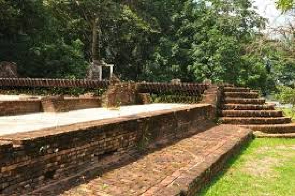 Vive el Paseo en Barco por la Sabana Judía en Surinam, donde antiguas ruinas de ladrillo con escalones se encuentran entre una vegetación exuberante y grandes árboles, y contempla los lugares históricos en un hermoso entorno natural al aire libre.