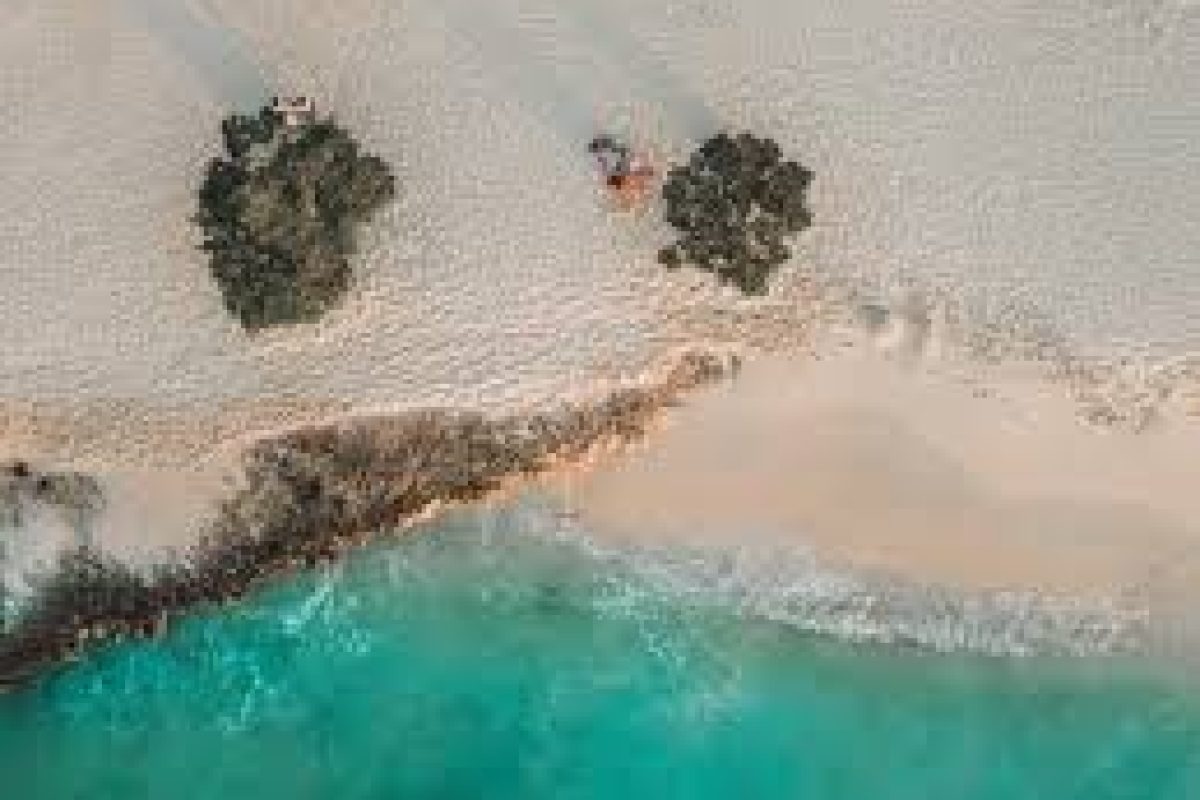 Vista aérea de Excursión por la playa y las cuevas (Aruba): playa de arena con agua turquesa clara, dos grupos de pequeños arbustos verdes en la arena y suaves olas que llegan a la orilla.