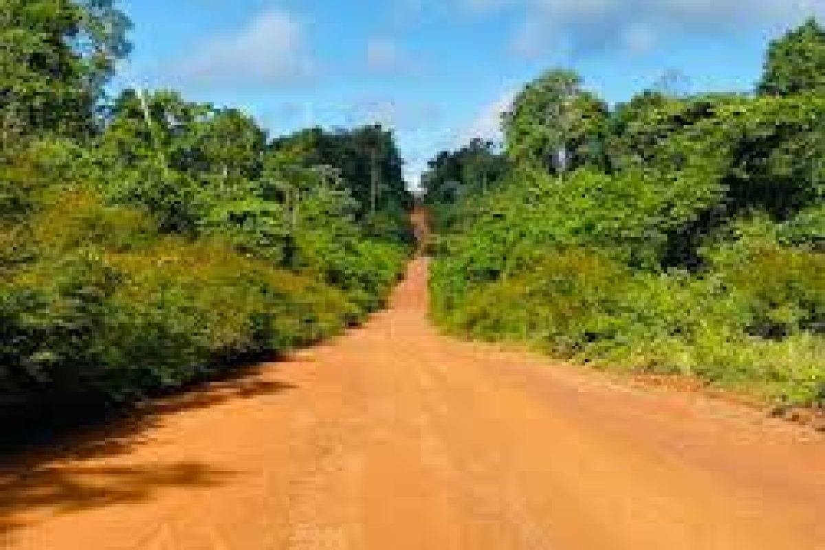 Disfruta del Safari en Jeep por el interior (Surinam) mientras conduces por un amplio camino de tierra rojiza rodeado de bosques y arbustos verdes bajo un cielo azul parcialmente nublado.