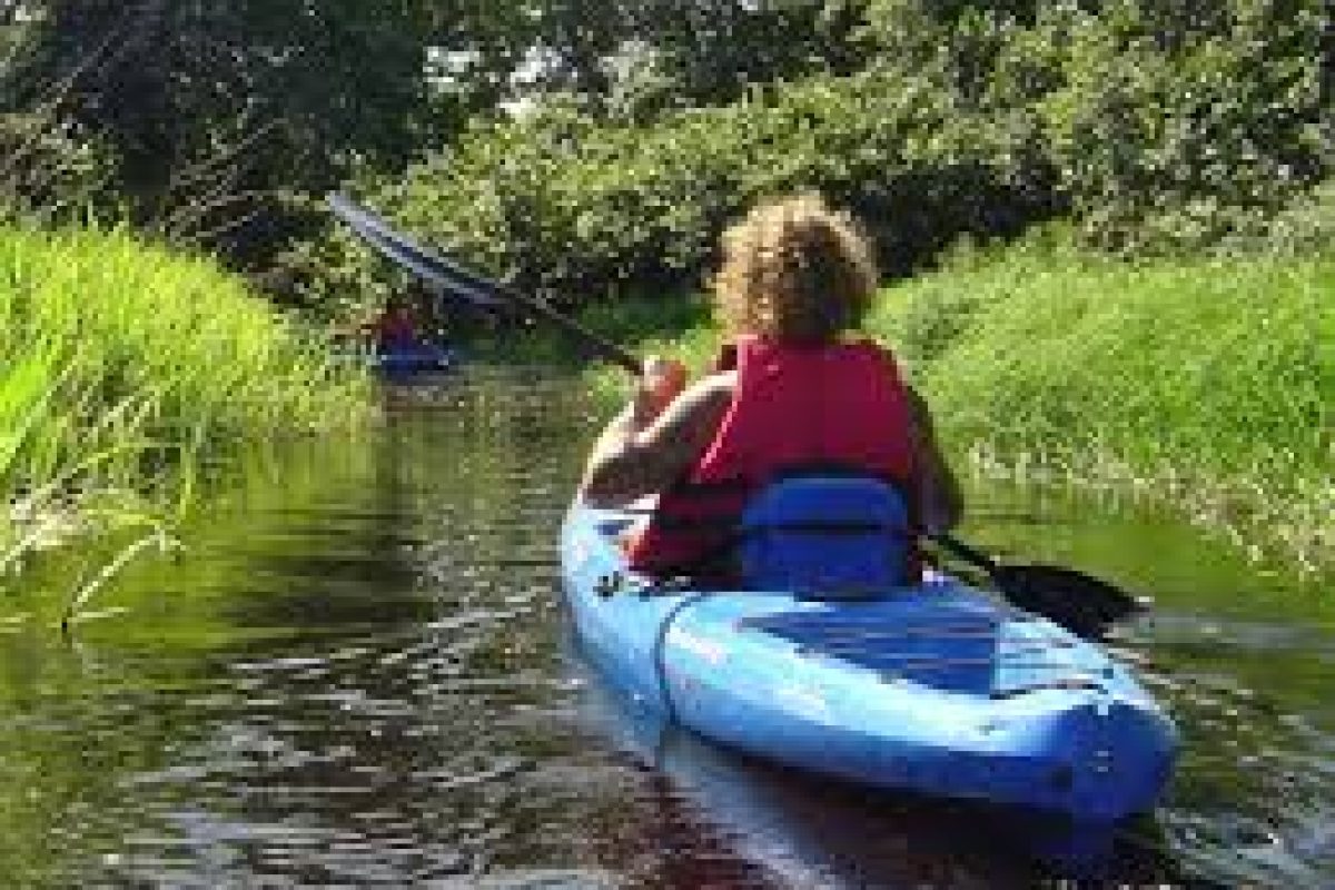 Een persoon met krullend haar in een rood zwemvest peddelt in een blauwe kajak op de Peperpot Kajak Tour (Suriname), glijdend door een kalme waterweg omzoomd door groen gras en bomen in de zon.